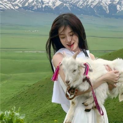 热血忠魂之独行侍卫